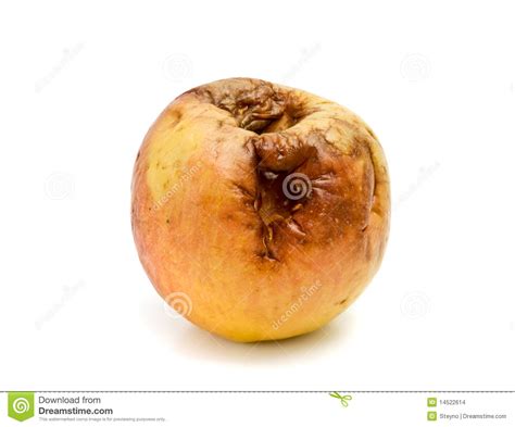 Rotten Apple Stock Images - Image: 14522614
