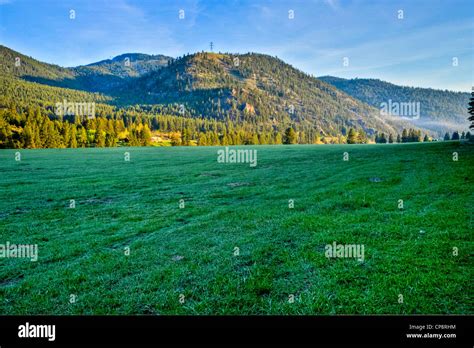 A Large Grassy Pasture Stock Photo Alamy