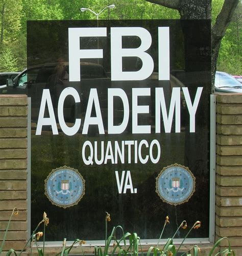 An Open Letter To The Writers Producers And Fans Of Tv Show Quantico