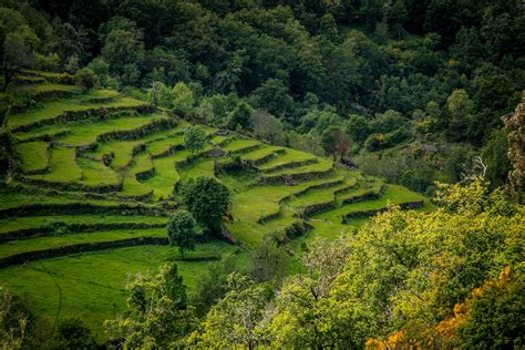 Paisagem Natural Com Visão Oblíqua