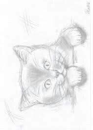 Jij moet al weten makkelijke dieren tekenen je niets? Afbeeldingsresultaat voor tekeningen om na te tekenen ...