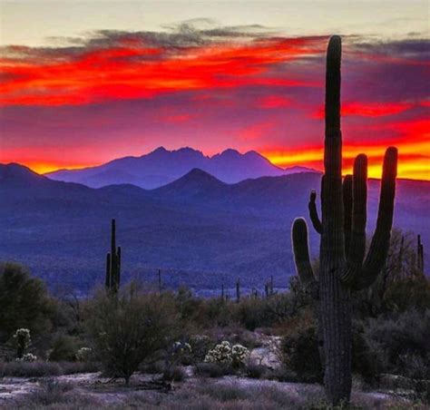 A Beautiful Sunset In Mesa Arizona Yep I Get To This This Every Day My