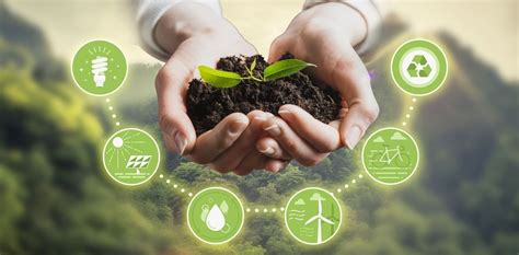 ¿cuál Es La Diferencia Entre Desarrollo Sustentable Y Sostenible