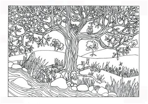 Nature Coloring Pages For Adults Printable Thekidsworksheet