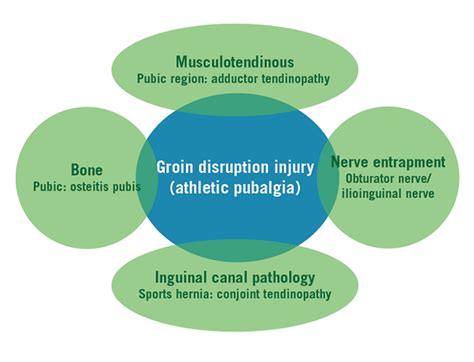 Aspetar Sports Medicine Journal Groin Pain A View From Below