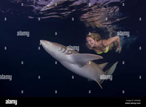 Beautiful Woman Swims At Night With Shark Tawny Nurse Sharks Nebrius