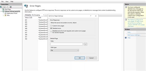 Enabling Detailed Errors With Coldfusion And Iis