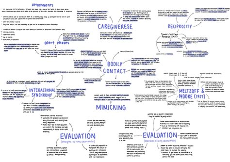 A Level Aqa Psychology Attachment Revision Notes Mind Maps Teaching Resources