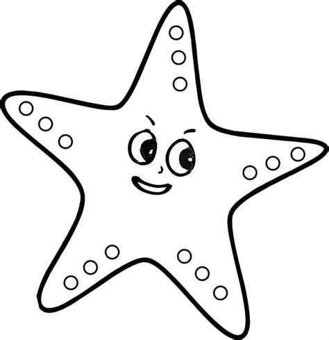 Estrela Do Mar Para Colorir Calibreidea