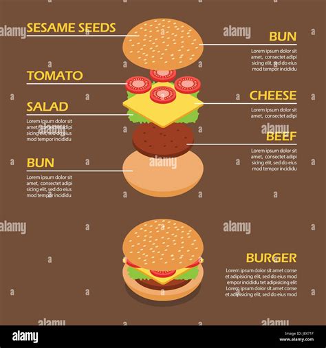 Isometric Of Burger Ingredients Infographic Vector Illustration Stock
