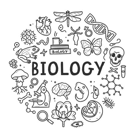 Biology Doodle Set Collection Of Black And White Hand Drawn Elements