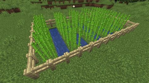 Harvesting sugar cane too soon or too late however, due to their small size, they may not trim sugar cane as fast as other options. How to grow sugar cane in Minecraft