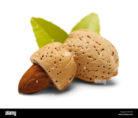 Almonds With Shells And Green Leaves Isolated On White Background Stock