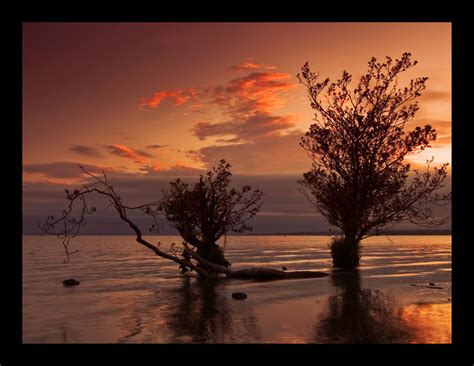 Photo Lough Neagh By Gregory Landscape