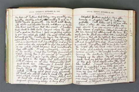 1945-diary-the-diaries-of-dawn-powell