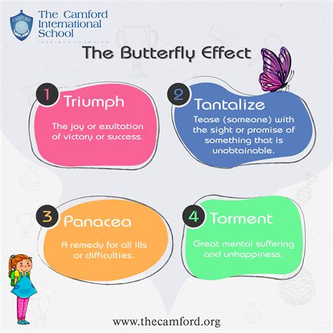 Butterfly Effect On Kids The Camford International School