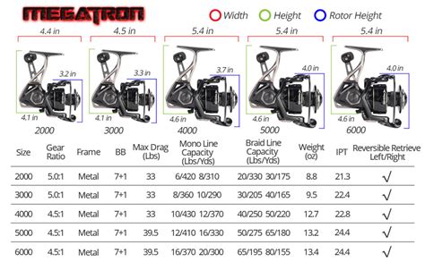 Spinning Fishing Reel Sizes Chart SexiezPicz Web Porn