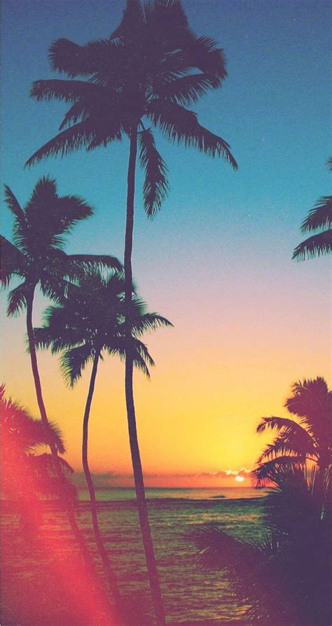 Top 999 Sunset Iphone Wallpaper Full Hd 4k Free To Use