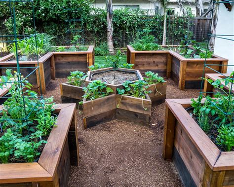 How Do You Layout A Raised Bed Vegetable Garden