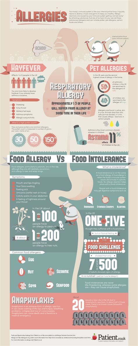 Allergies Infographic Infographic List