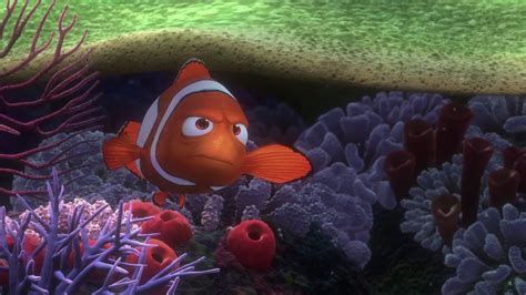 Buscando A Nemo 2003 1080p Hd Mkv EspaÑol Latino Pelismegahd 4k