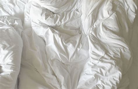 Bed Sheet For Photo Background Pc Brystol Comforters Cadence Bath Bocainwasul