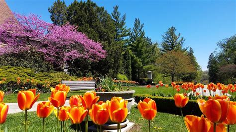 The Best Spring Blooms In Niagara Falls Niagara Falls Canada