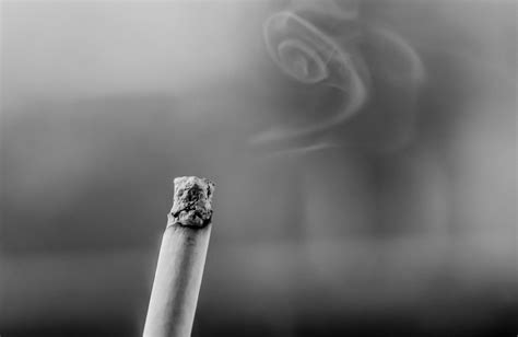 무료 이미지 손 빛 검정색과 흰색 화이트 사진술 연기 어둠 검은 단색화 담배 닫다 모양 매크로 사진
