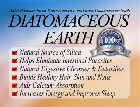 120 Sodium Bentonite Clay Diatomaceous Earth Capsules 1000 Mg Detox