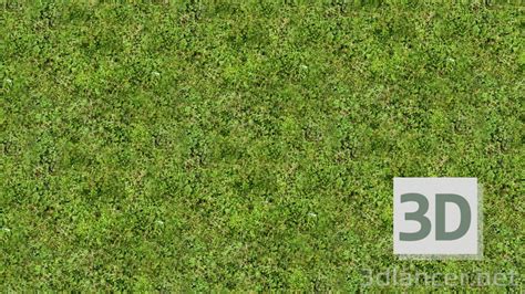 Download Texture Grass Texture For 3d Max Number 55934 At