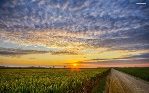 Corn Field Road Clouds Sunset Wallpapers Sunset Wallpaper Sunset