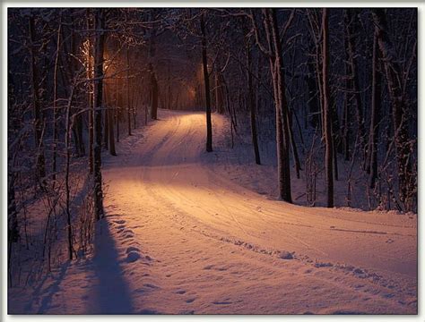 Peaceful Winter Running Night Forest Nature Pictures Winter Scenes
