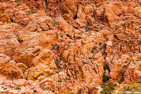 Nevada Red Rocks Red Rock Canyon Nevada Steve Shames Photo Gallery