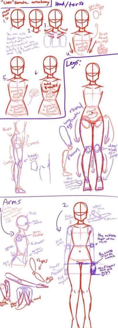 New Drawing Body Proportions Anatomy 38 Ideas Drawing Body