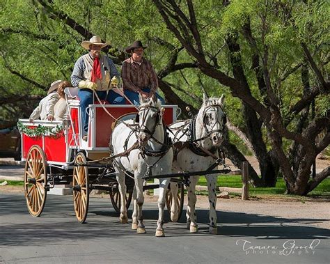 Arizona Horse Carriage And Wagon Morristown All You Need To Know