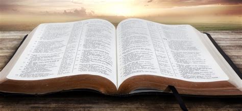 La Biblia Sus Atributos Salvo X Gracia