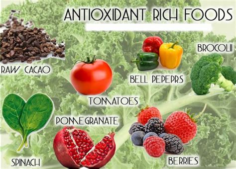 Best Antioxidant Foods For Men And Women Yabibo