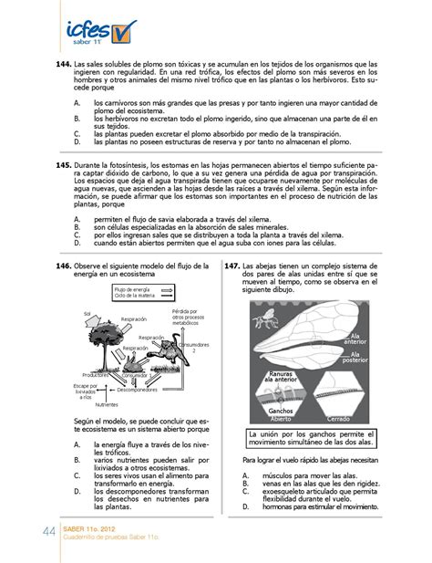 Cuadernillo Pruebas Saber 11 By Institución Educativa Colcajuto Issuu