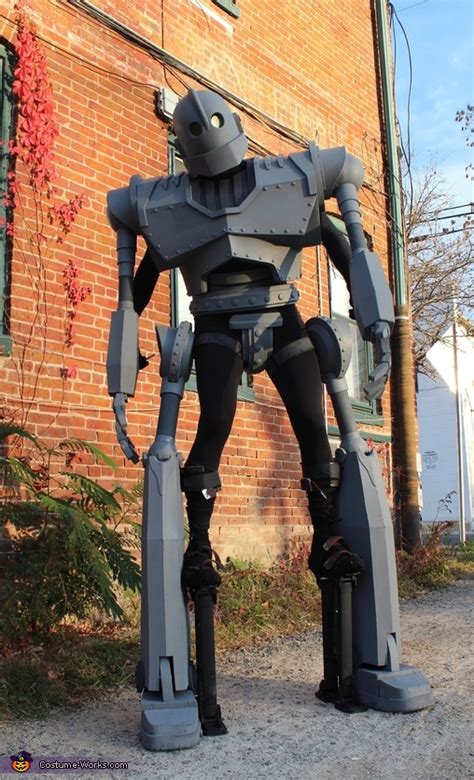 Released in 1999, it was met with much acclaim but did poorly in the box office. The Iron Giant Costume