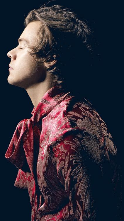 harry styles pictures tumblr