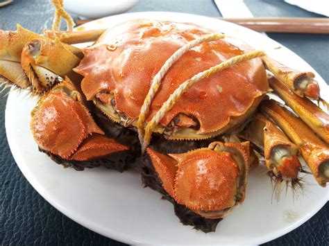 The World’s Famous Yangcheng Lake Hairy Crab El Famoso Cangrejo Peludo Del Lago Yangcheng