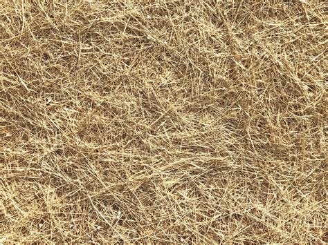 Dried Straw For Background Or Texture 2109502 Stock Photo At Vecteezy