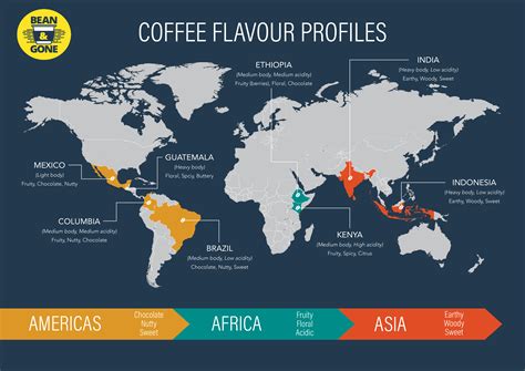 Discover The Flavors Of Coffee From Around The World