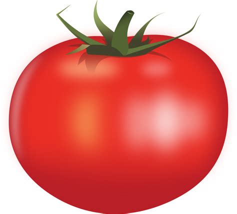 Tomato By Rones Openclipart