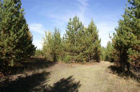 Eaglet Lake Vacant Land For Sale In Prince George Bc For Sale By