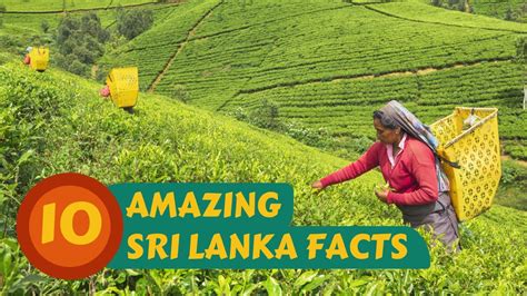 10 Amazing Sri Lanka Facts Youtube