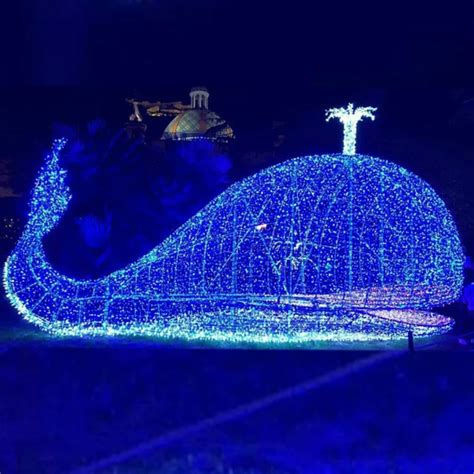 Outdoor Animal Shaped Christmas Lights Whale Lighted Motif Large Animal