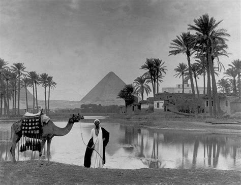 Desert Oasis Giza Egypt 1917 Giza Egypt Egypt Old Egypt