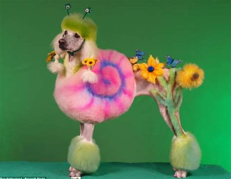 Latest Chinese Fashion Craze Fantasy Animals Painted Dogs