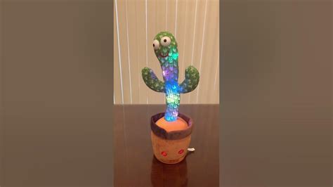 Dancing Cactus Toy Cacti Youtube
